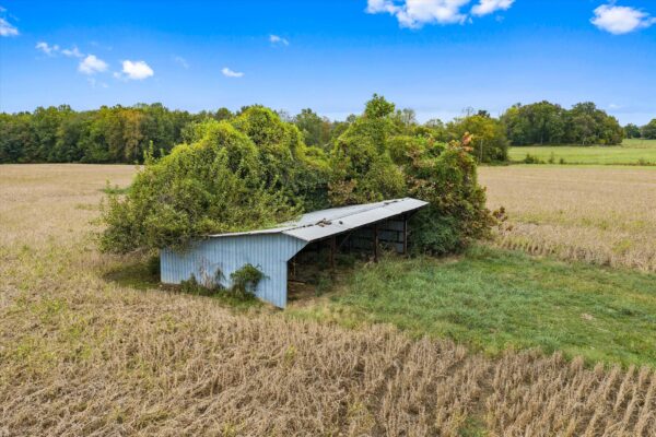 15-4335 Rudy Rd Corydon KY 42406-20261016-13 31+/- ACRE FARM
