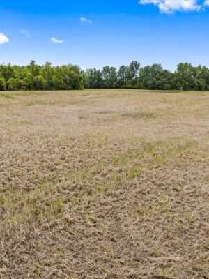 16-4335 Rudy Rd Corydon KY 42406-20261016-14 31+/- ACRE FARM