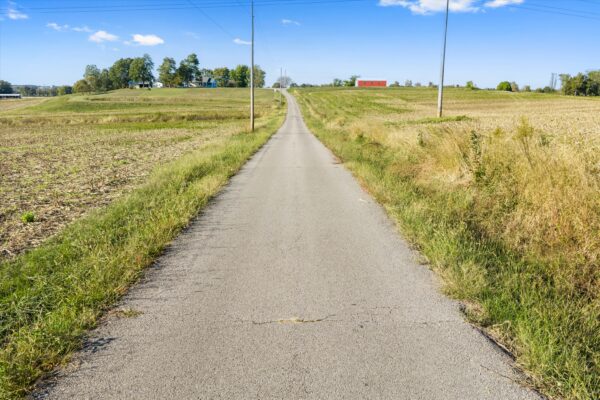 90+/- ACRES - 5 TRACTS - ROW CROP - HOME SITES - MINI FARMS