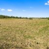 90+/- ACRES - 5 TRACTS - ROW CROP - HOME SITES - MINI FARMS