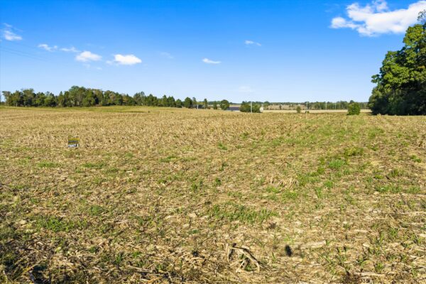 90+/- ACRES - 5 TRACTS - ROW CROP - HOME SITES - MINI FARMS
