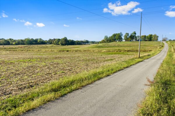 90+/- ACRES - 5 TRACTS - ROW CROP - HOME SITES - MINI FARMS