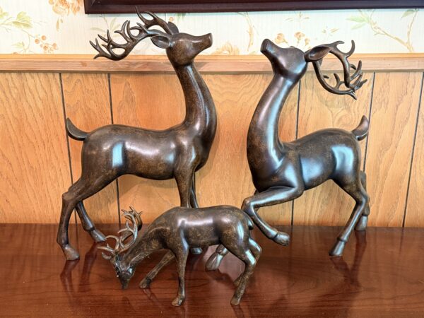 IMG_1726 HUGE HIGH-QUALITY ESTATE AUCTION