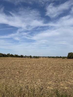90+/- ACRES - 5 TRACTS - ROW CROP - HOME SITES - MINI FARMS