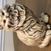 LARGE COLLECTION OF ANTIQUES, GLASSWARE & COLLECTIBLES