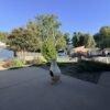307 Tartan Dr., Henderson, KY