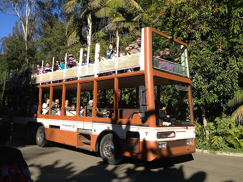 Double Decker Tour Bus, San Diego Zoo