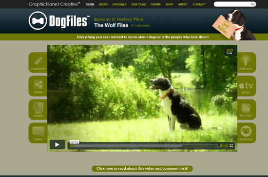 The Dog Files has a video player as its focal point