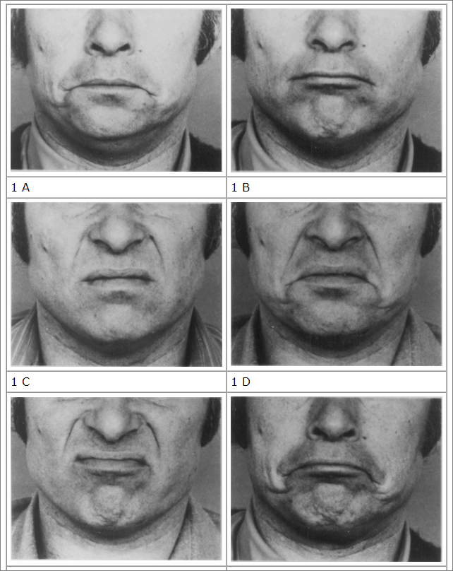 facial movements from Ekman and Friesen's FACS publication