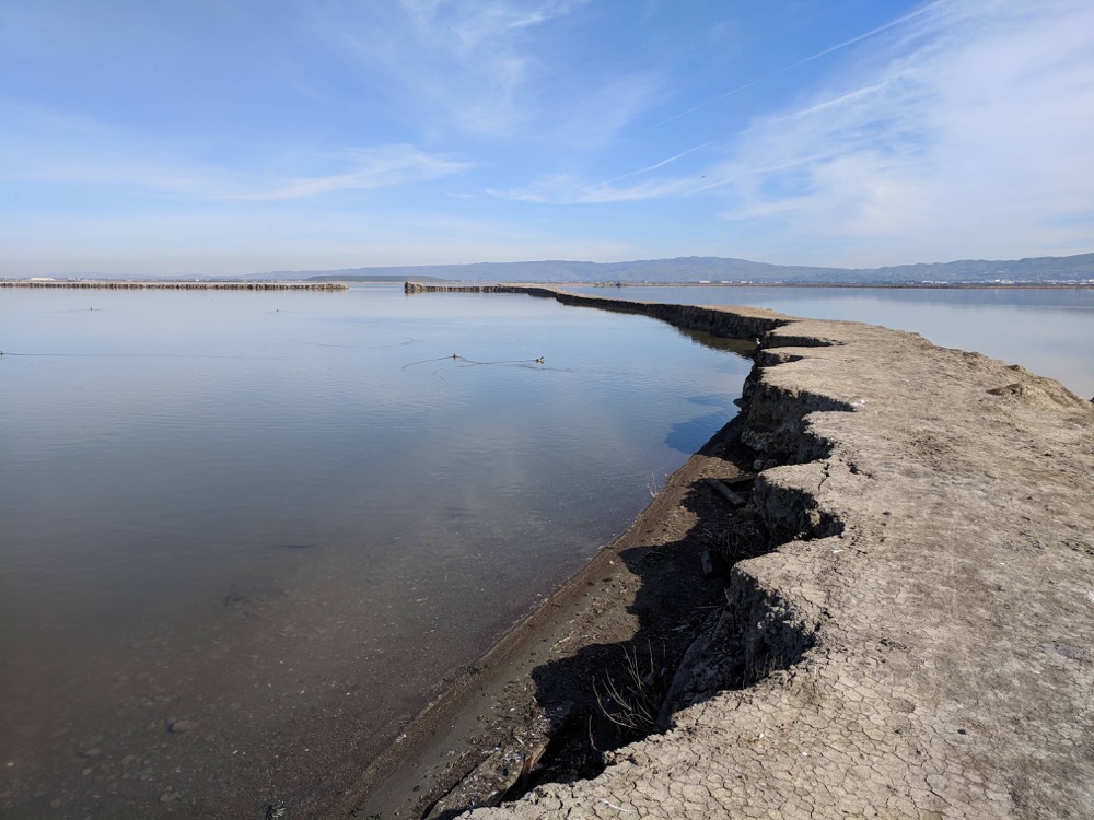 Alviso panorama