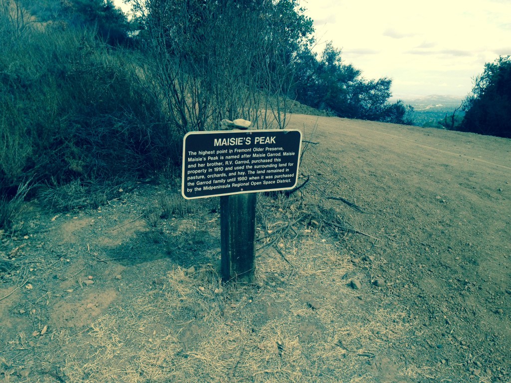 Maisie's Peak is really hard to find. The trails zig zag like spaghetti all over the place. Shannon and I never found this on an earlier expedition. I was pleasantly surprised to come across it.