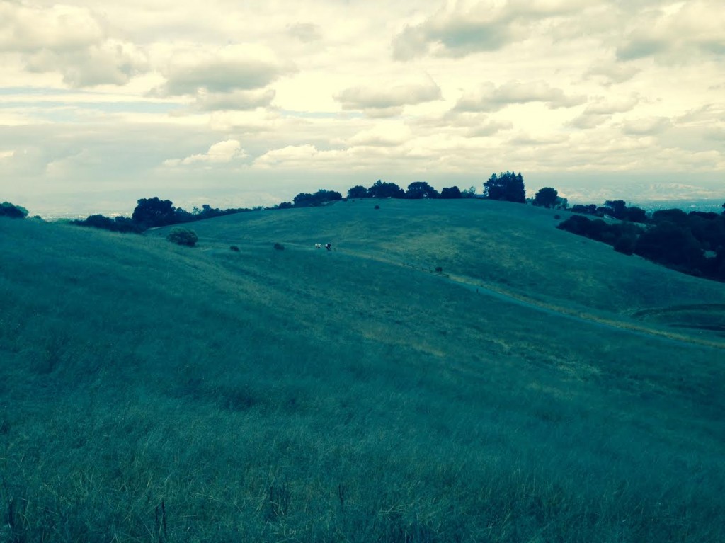 This is Old Fremont Open Preserve in San Jose. Not sure why iPhone's "Photo" option gives everything a green tint.