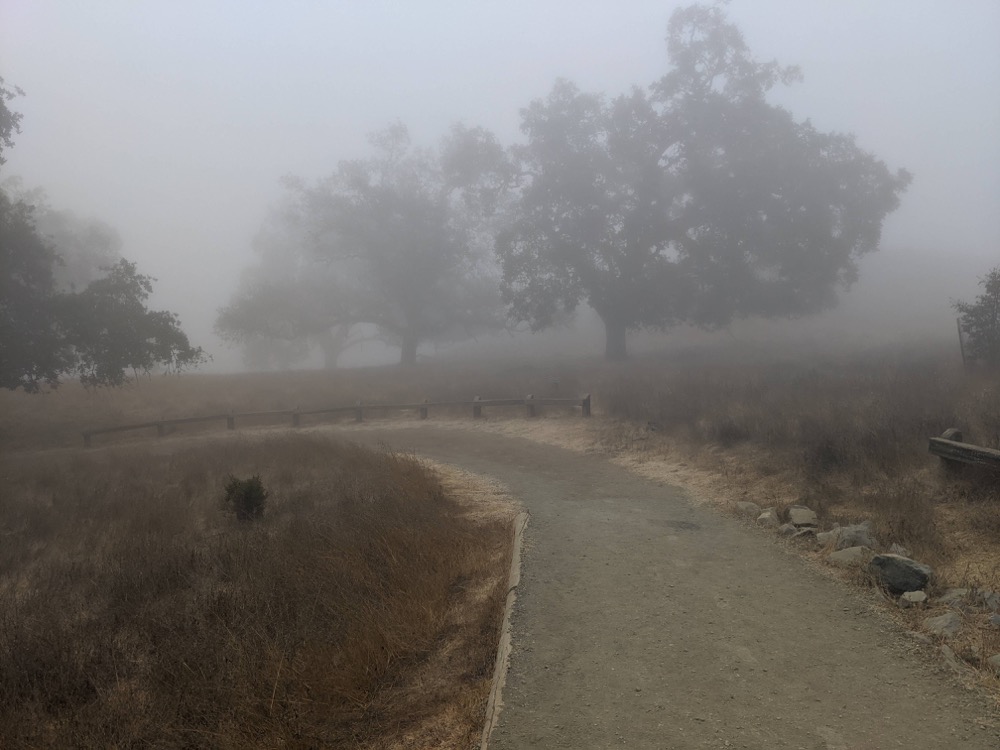 Rancho San Antonio morning hike