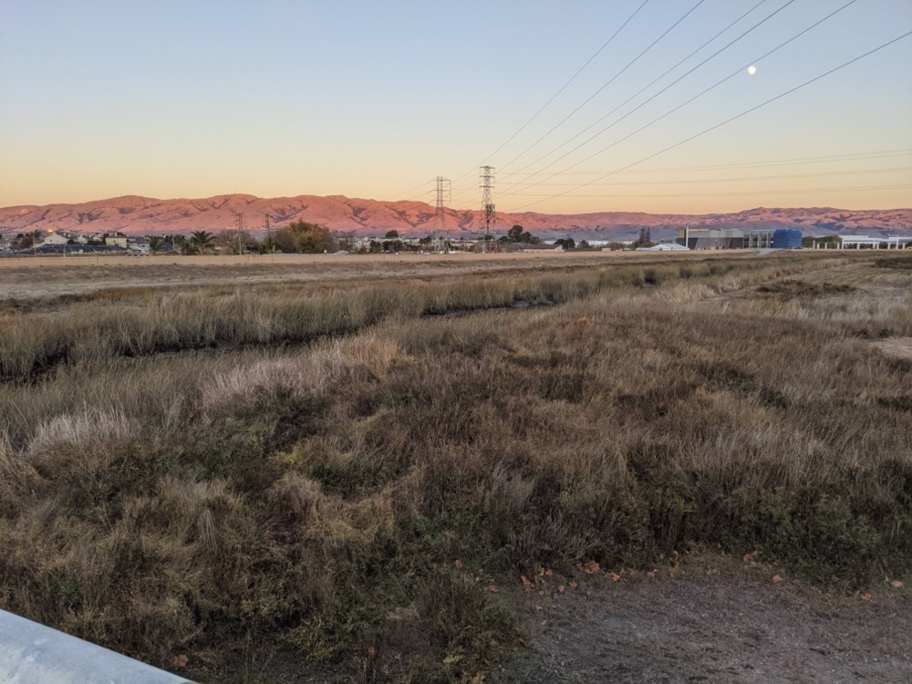 Santa Clara Loop - protected wetlands