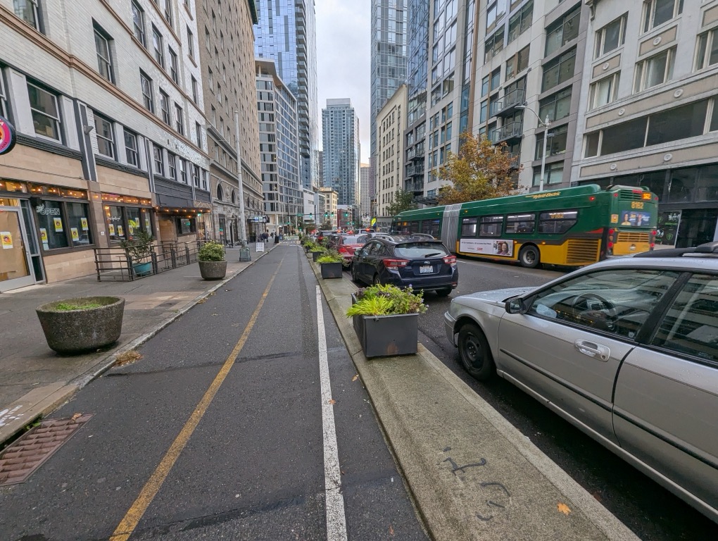 Plants separating pedestrians and bikes