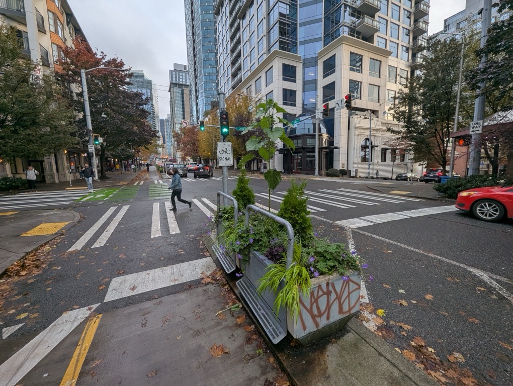 Overgrown plants in planters