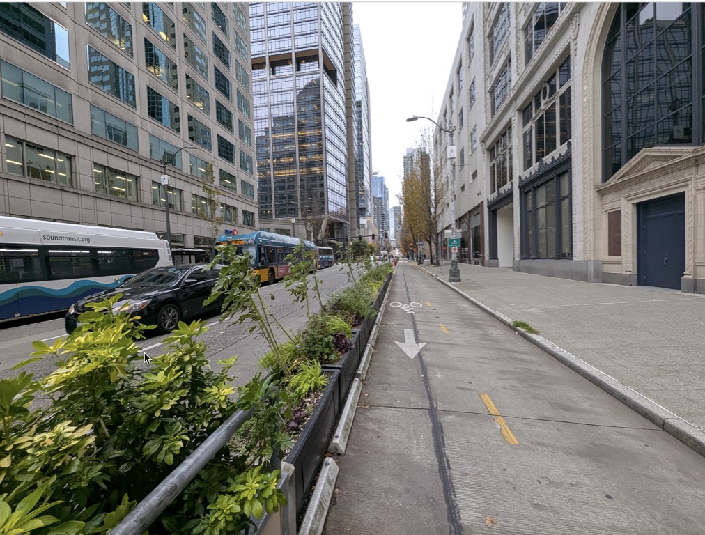 Protected bike lane with plants