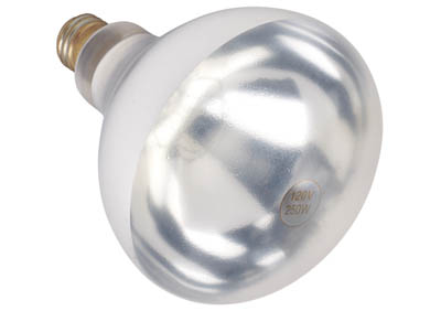 HEAT LAMP BULB CLEAR