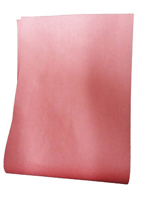 PPR PLATTER PINK 10X29 40#