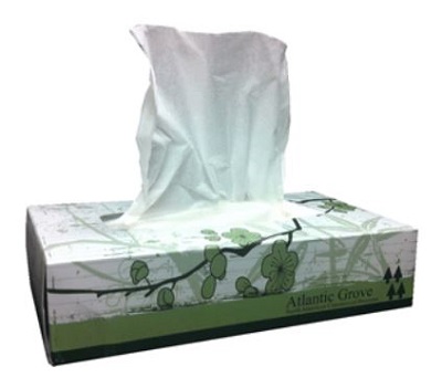 TISSUE FACIAL 2-PLY BOXED