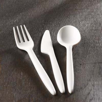 CUTLERY SPOON CPLA WHT BULK