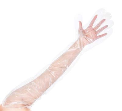 GLOVE SHOULDER LENGTH POLYETHYLENE