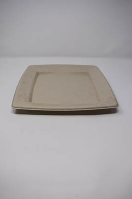 PLATE PPR 10" NAT SQR PULP