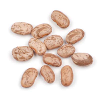 PINTO BEANS