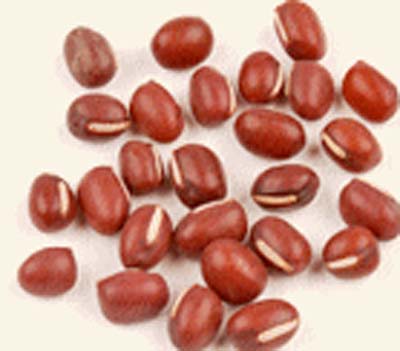 BEANS RED SMALL