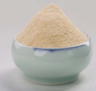 SPICE GARLIC GRANULATED IMPORTED