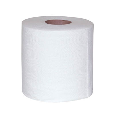 TOILET TISSUE 2PLY 4X3.5