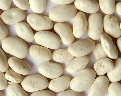 BEANS WHITE GREAT NORTHERNS