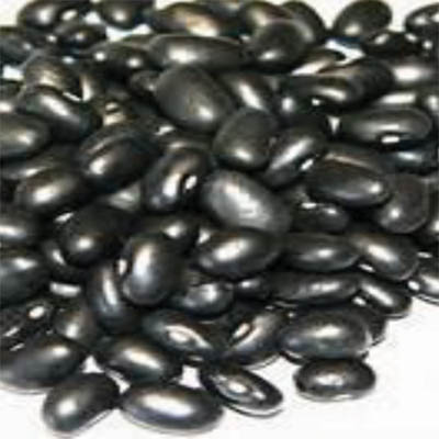 BEANS BLACK ORGANIC USA