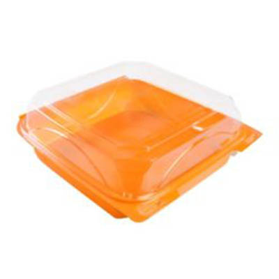 CONT PLAST 8X8 HNGD TANGERINE W/CLR