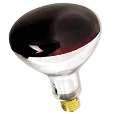 LAMP HEAT BULB RED 250WATT