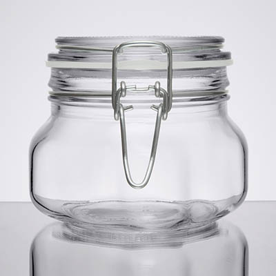 GLASS 17 OZ JAR GARDEN W/CLAMP LID