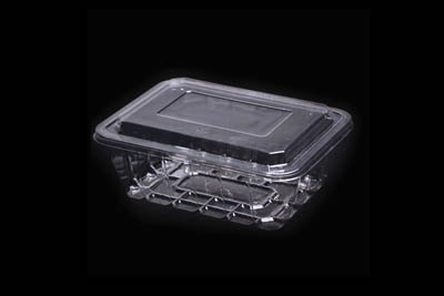 CONT PLAST 3" DEEP RECT SALAD TRAY