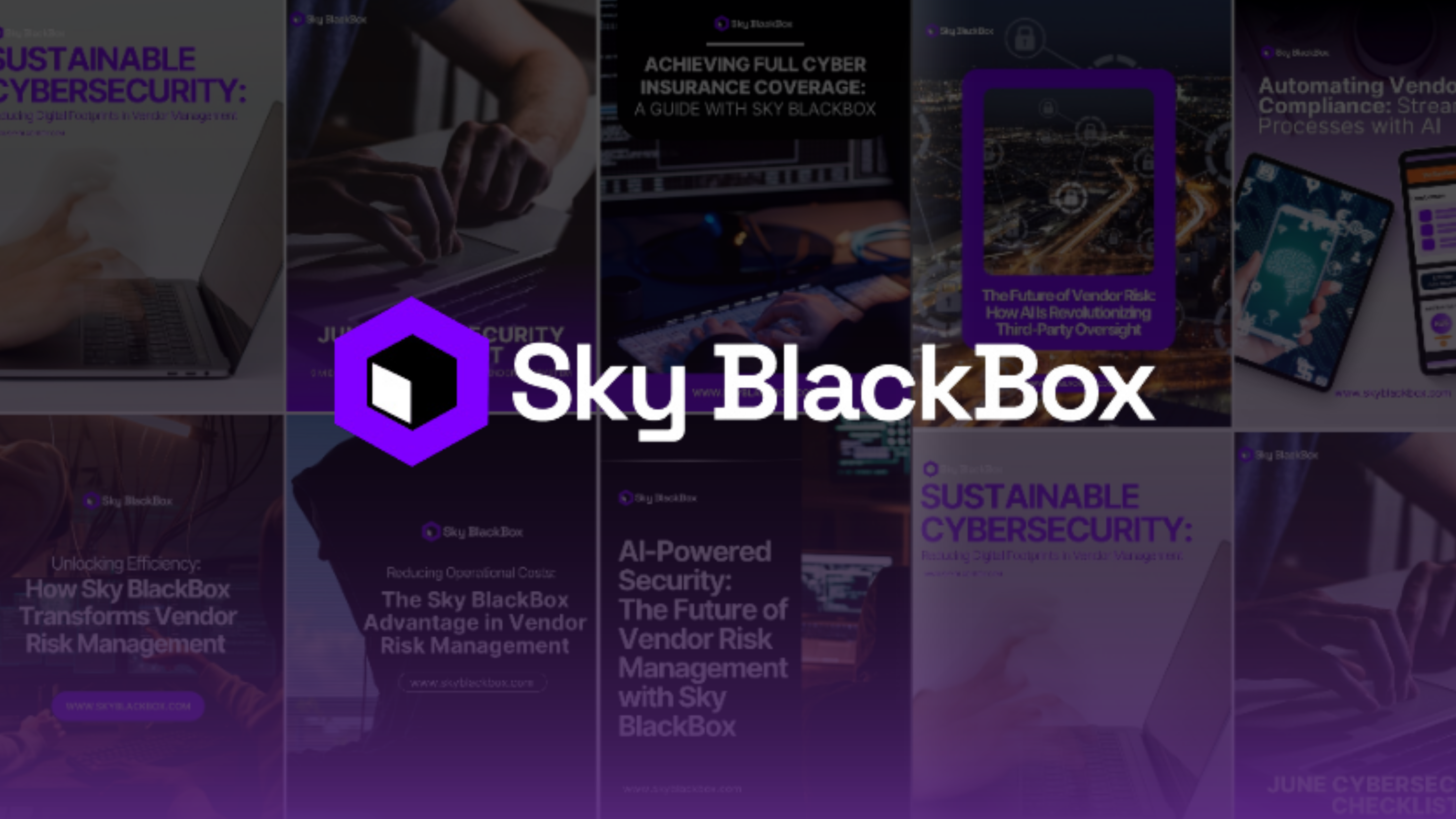 Skyblack Box