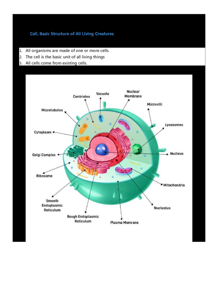 Cell and Molecular Biology