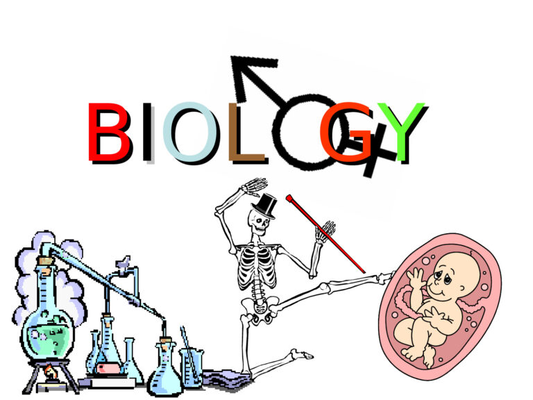 Full Biology Notes