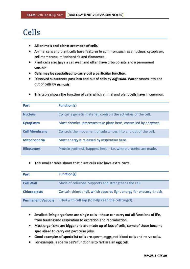 Unit 2 Revision Notes
