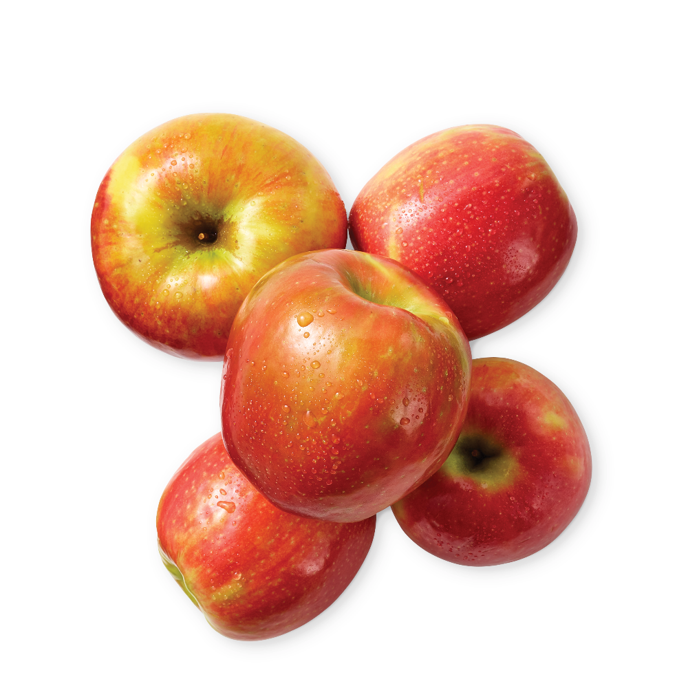 Weekly Ad Shop And Find Weekly Deals At Your Local Store Kroger Weekly Ad Shop And Find Weekly Deals At Your Local Store Kroger