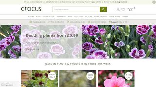 Buy plants online - Online Garden Centre for a wide variety of plants ...