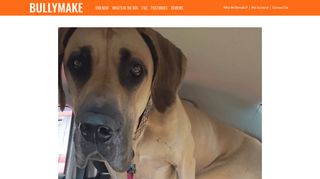 
                            4. 16 Signs You Love Your Great Dane… Too Much - Bullymake ... - Bullymake Sign In