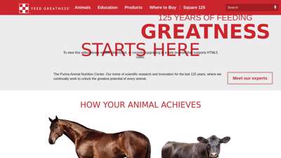 
                            2. Animal Feed & Supplements l Purina