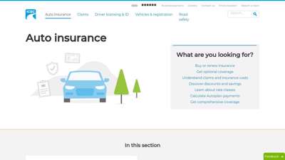 
                            5. Auto Insurance