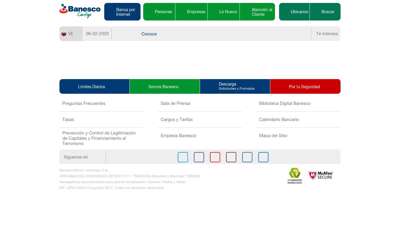 
                            4. Banesco - Banco Universal