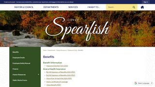 
                            9. Benefits | Spearfish, SD - Avera Employee Benefits Portal
