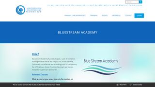 
                            3. Bluestream Academy - Blue Stream Academy Portal Gp