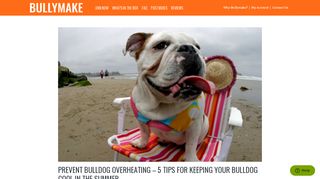 
                            6. Bulldog Overheating - Bullymake Blog - Bullymake Box - A ... - Bullymake Sign In